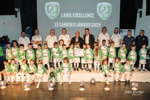Odoo • Texte et Image