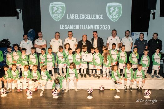 Odoo • Texte et Image
